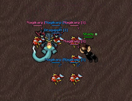 Passiva Clear Body